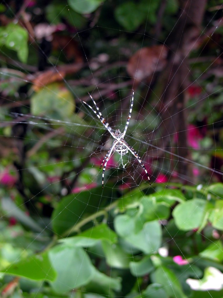 20050515-171302.jpg