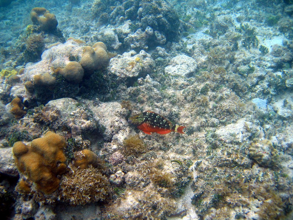20050515-184254.jpg
