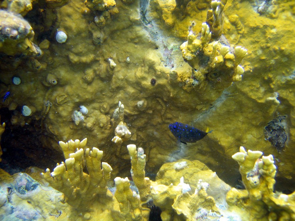 20050515-145512.jpg