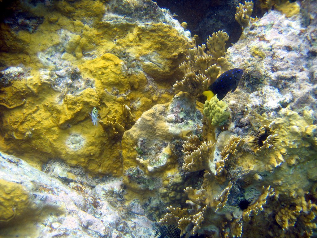 20050515-145344.jpg