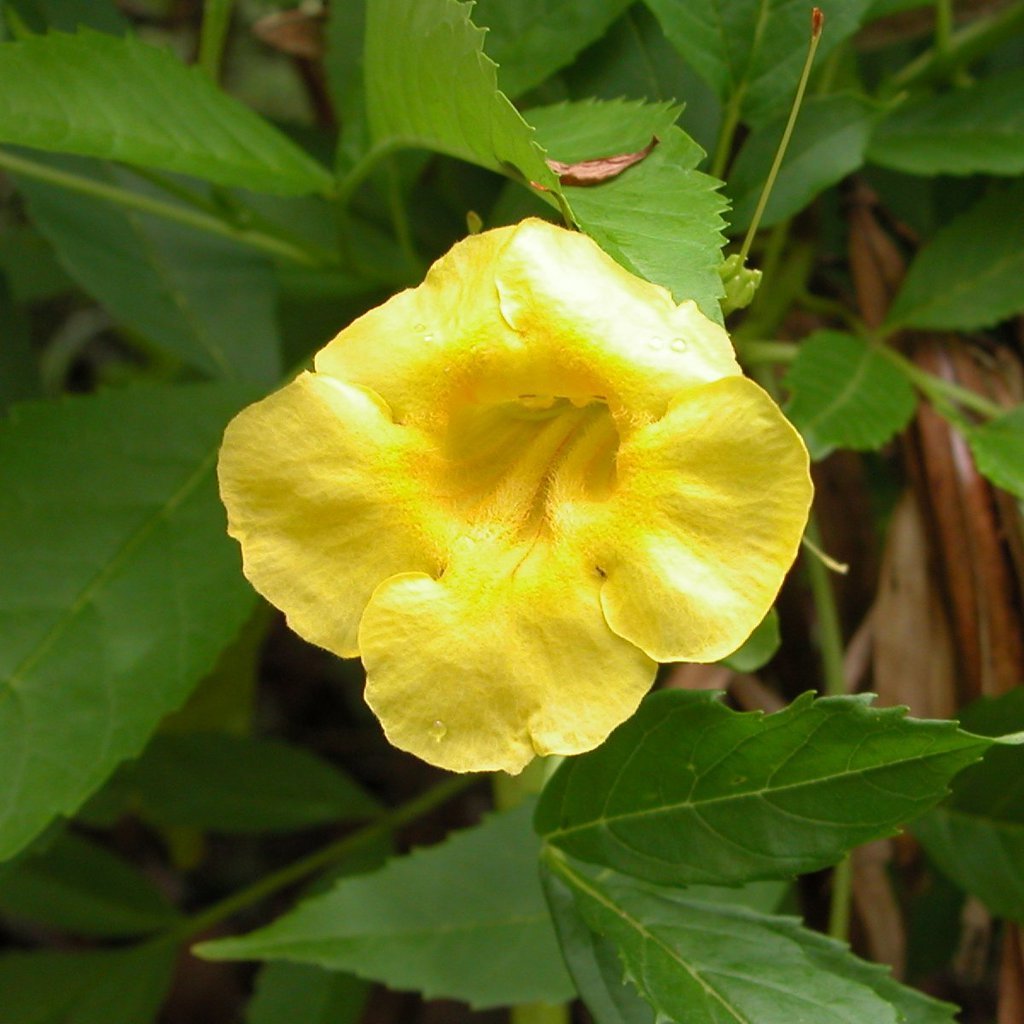 20050515-170244.jpg