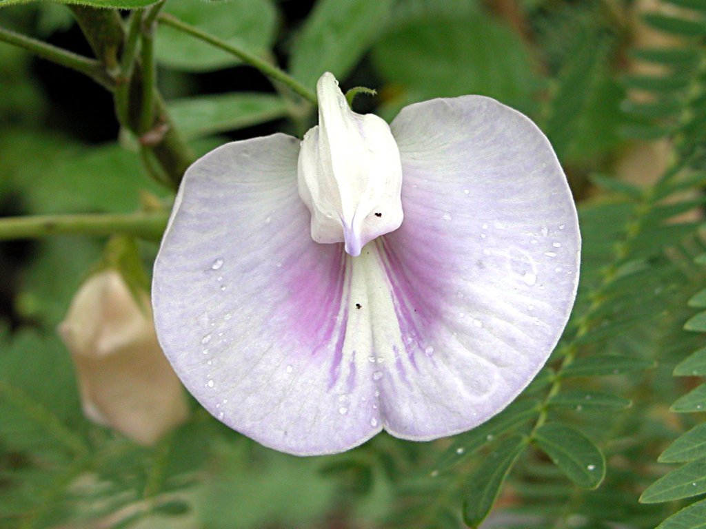 20050515-164938.jpg