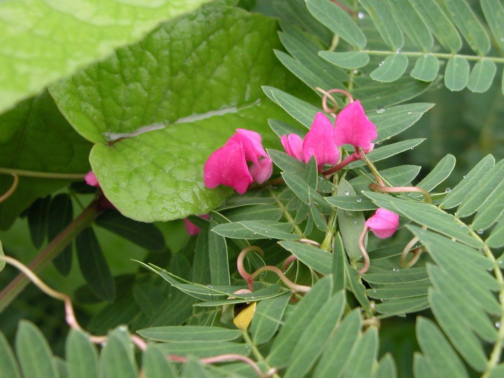 20050515-164903.jpg