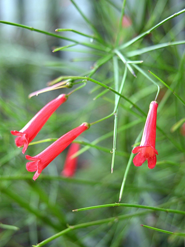 20050515-172203.jpg