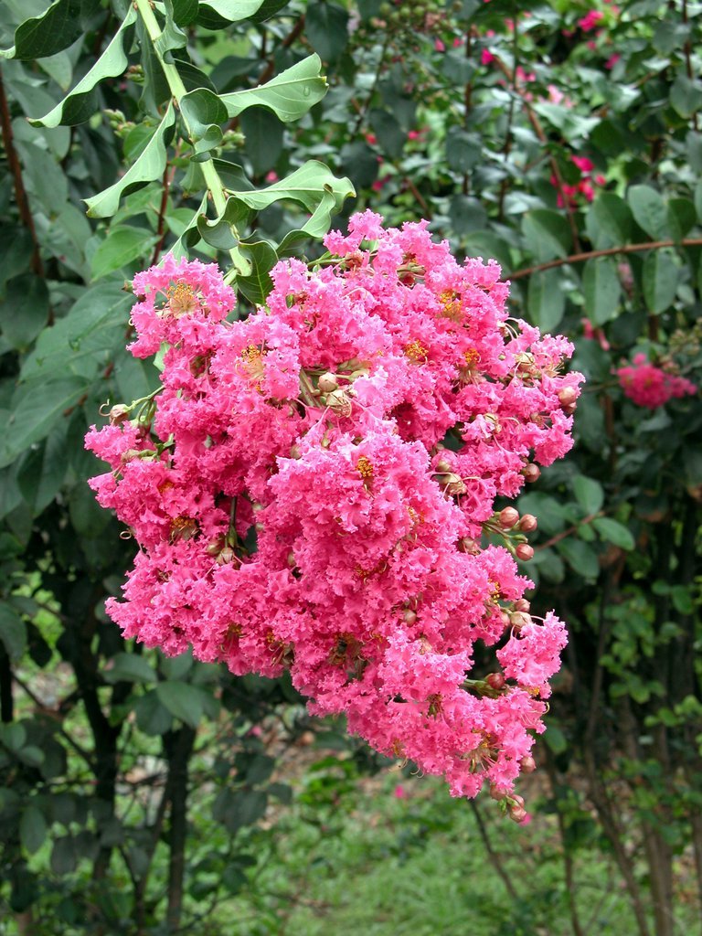 20050515-171906.jpg