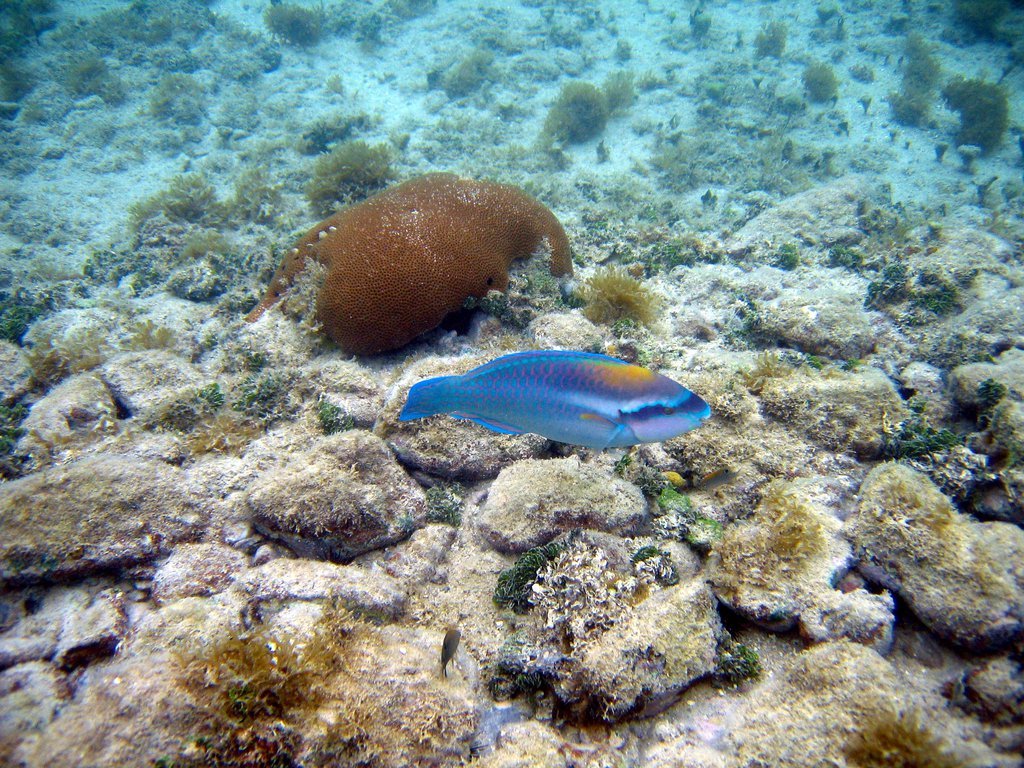 20050516-122541.jpg