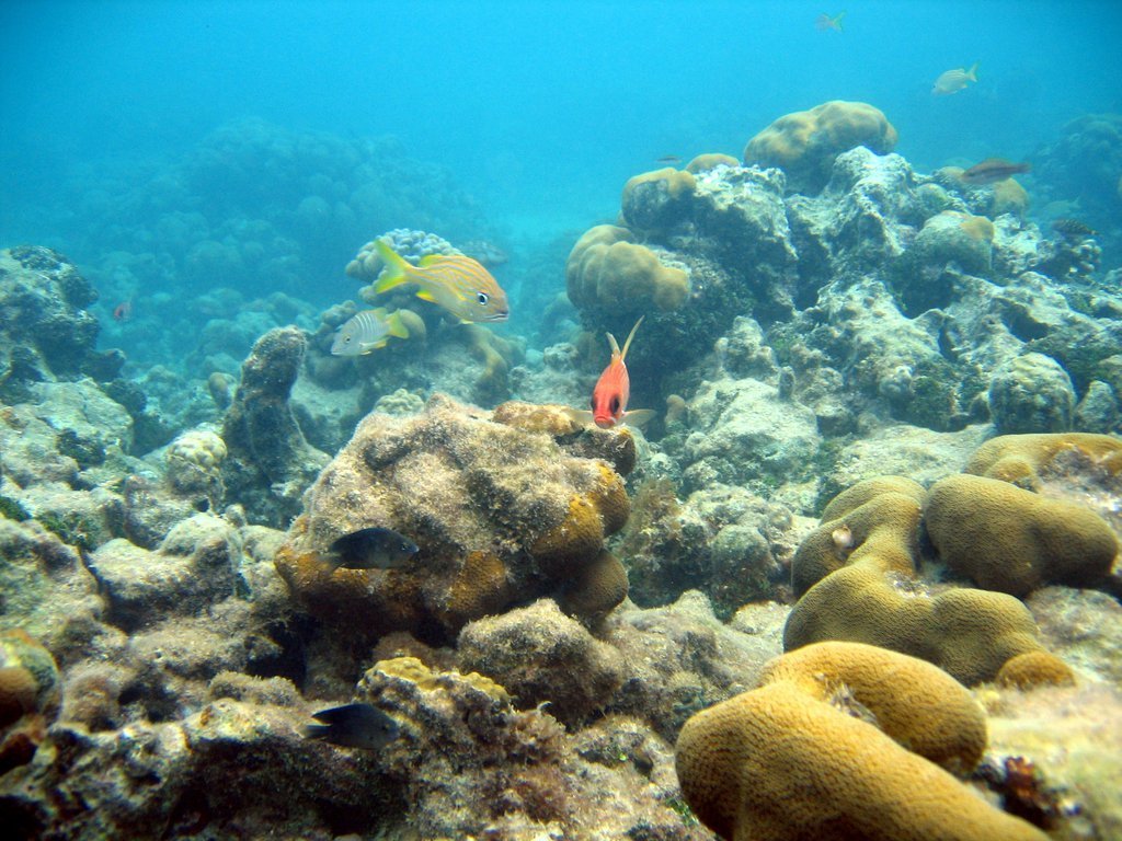 20050516-122218.jpg