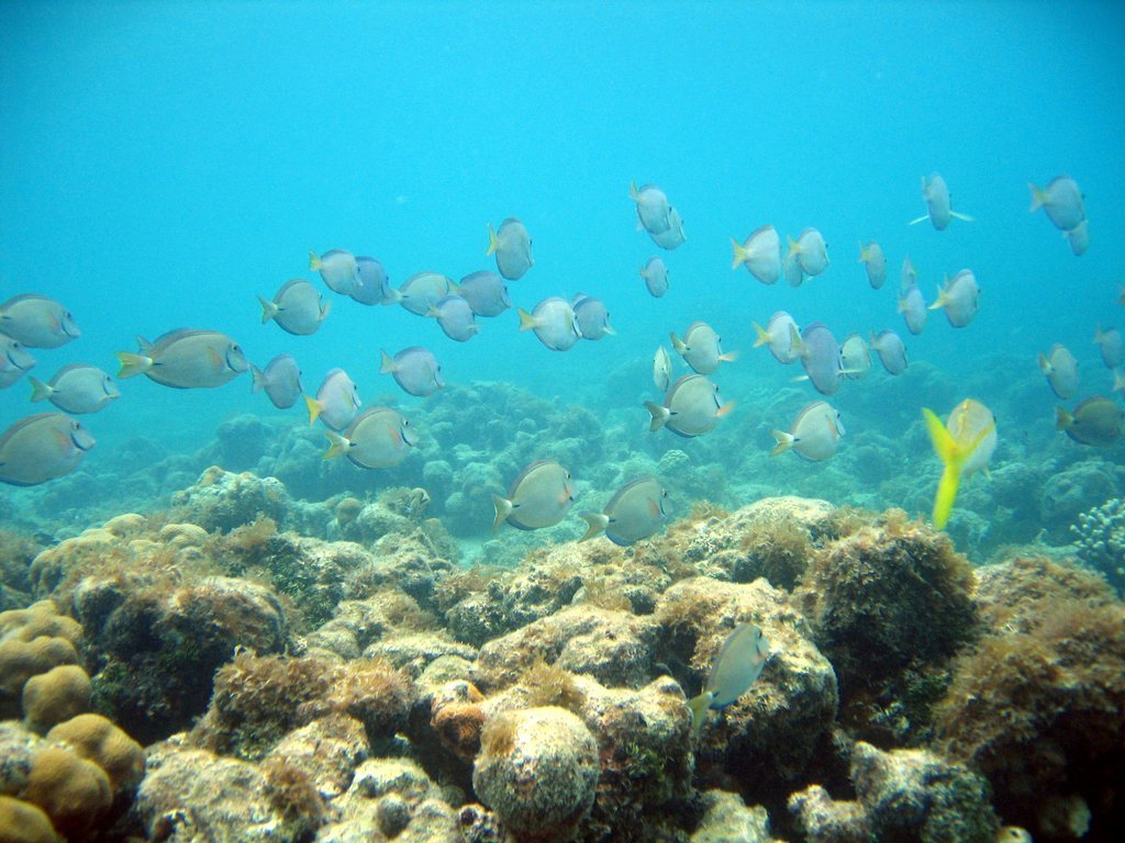 20050516-121146.jpg