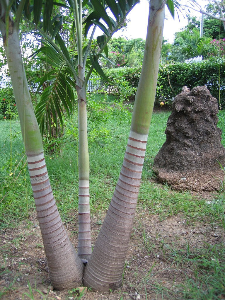 20050511-124014.jpg