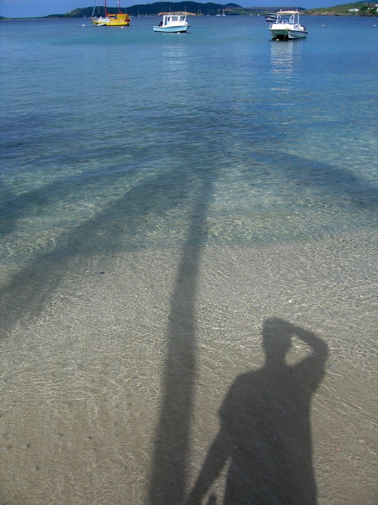 Shadow