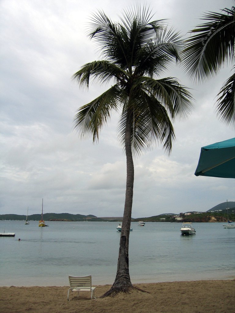 20050516-123809.jpg