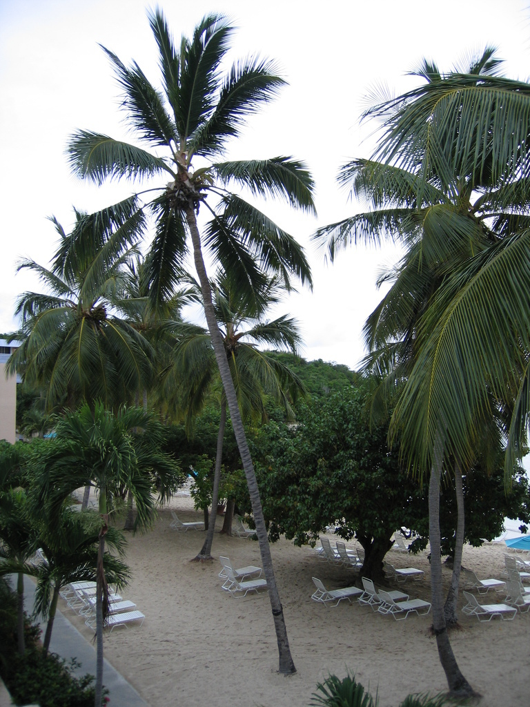 20050514-214841.jpg