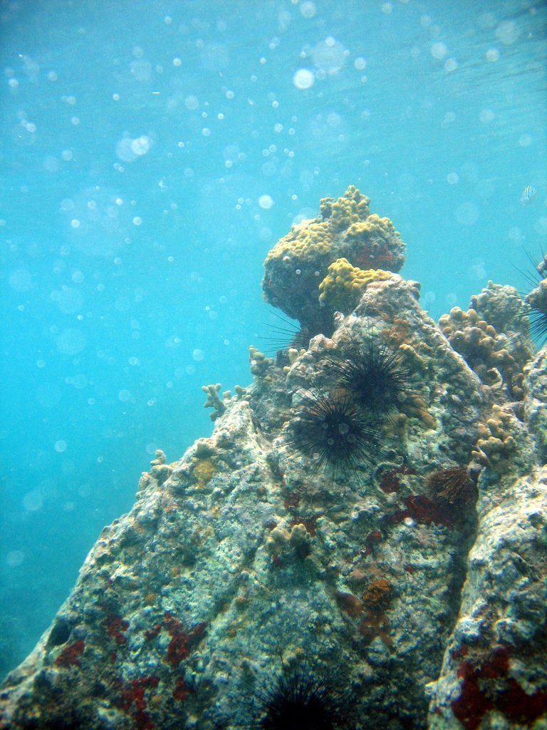 20050512-200444.jpg