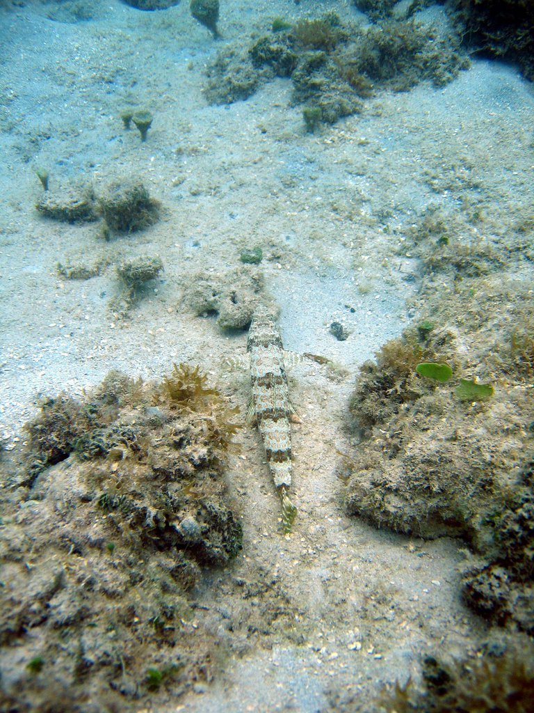 20050513-200022.jpg