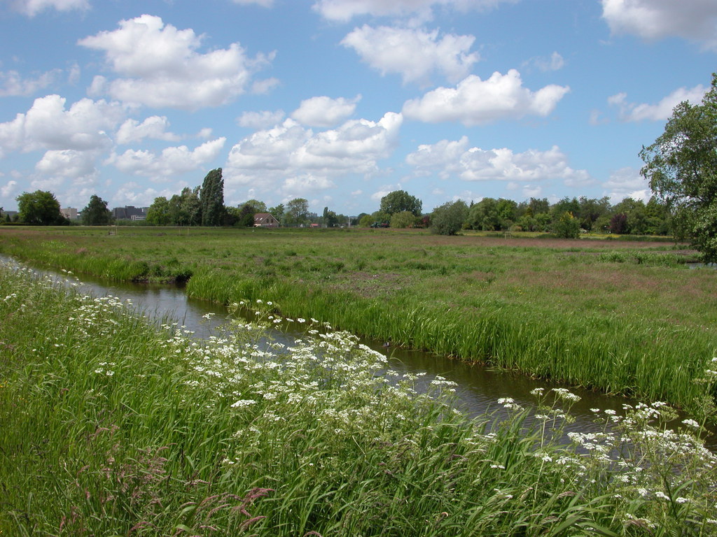 Countryside