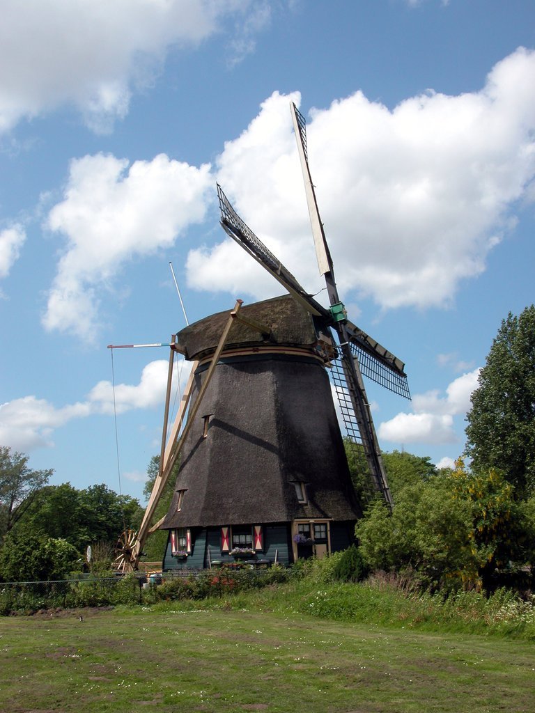 Windmill