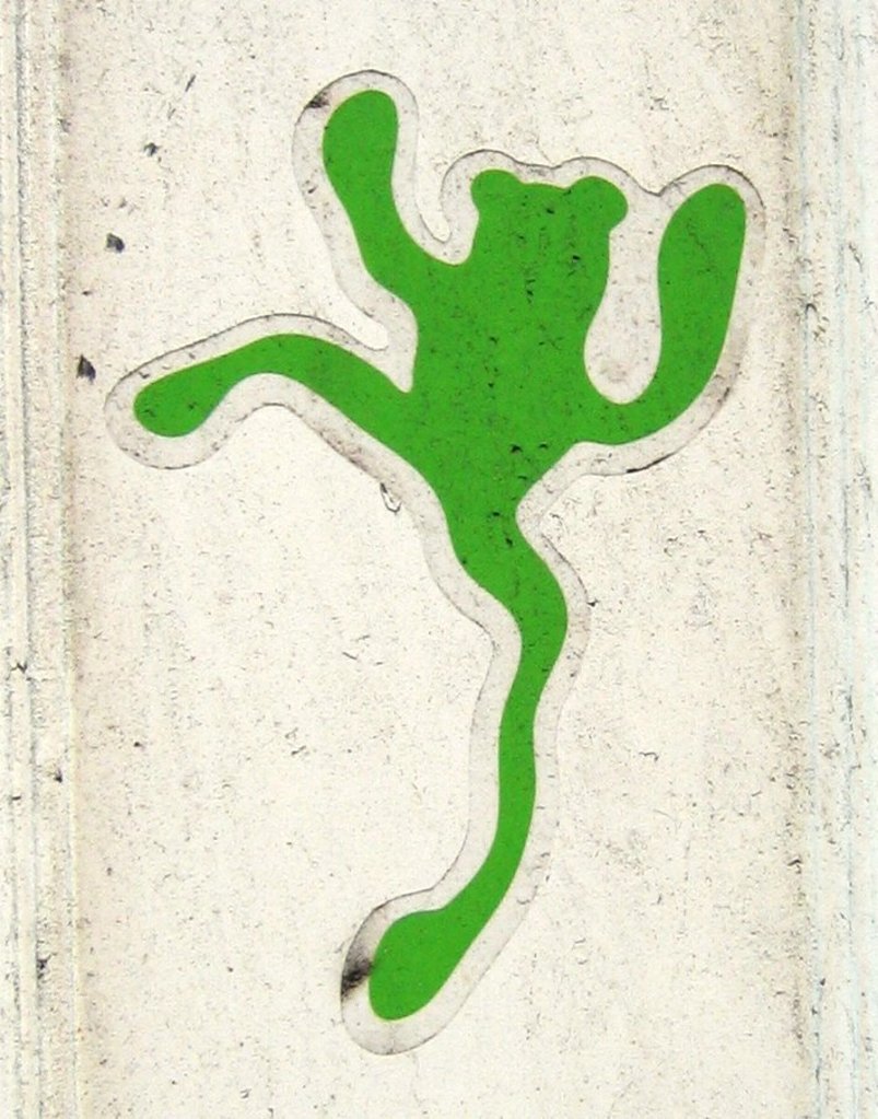 Frog