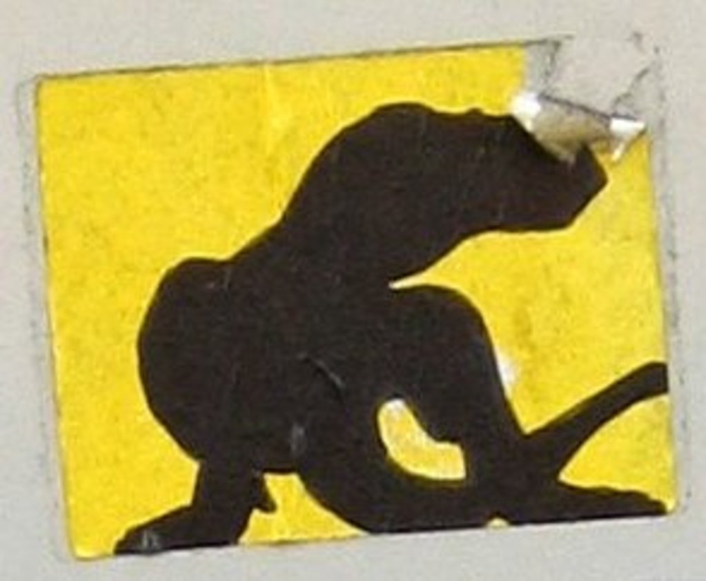 Dino (2)