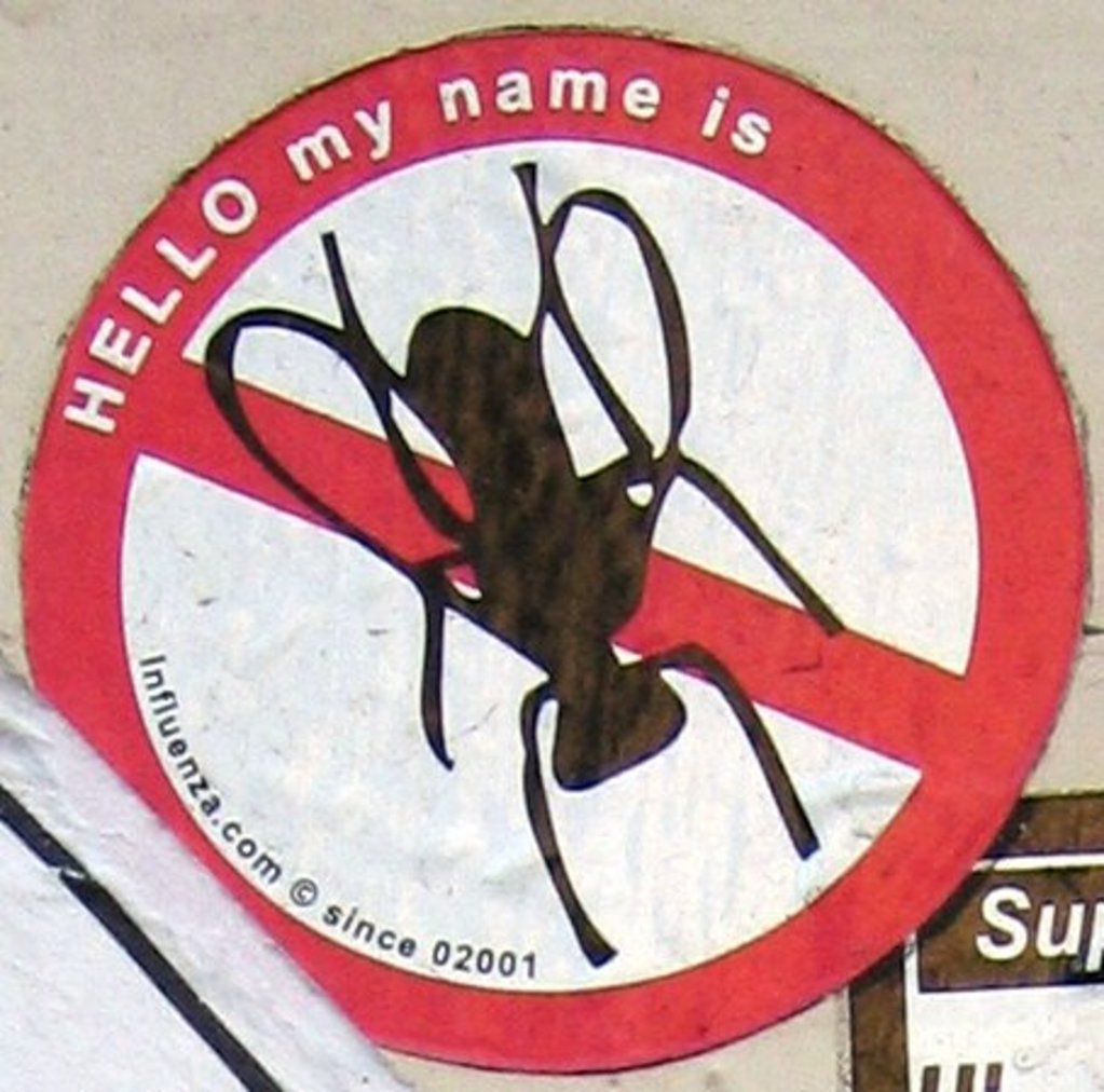 No Flies