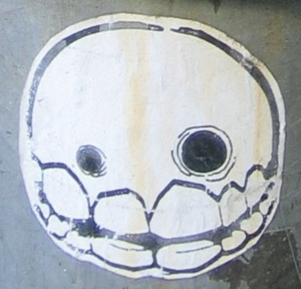 Teeth