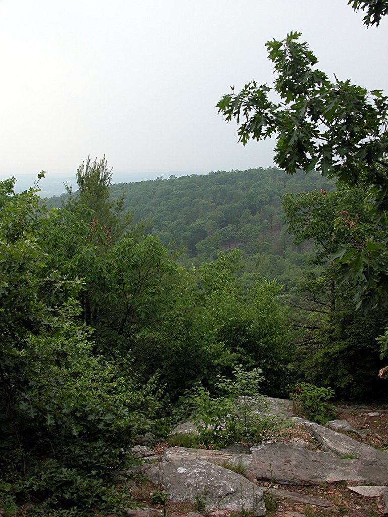 Mt Orient View