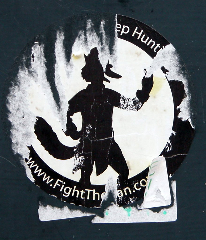 Fox Hunting?