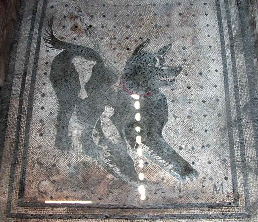 Cave Canem