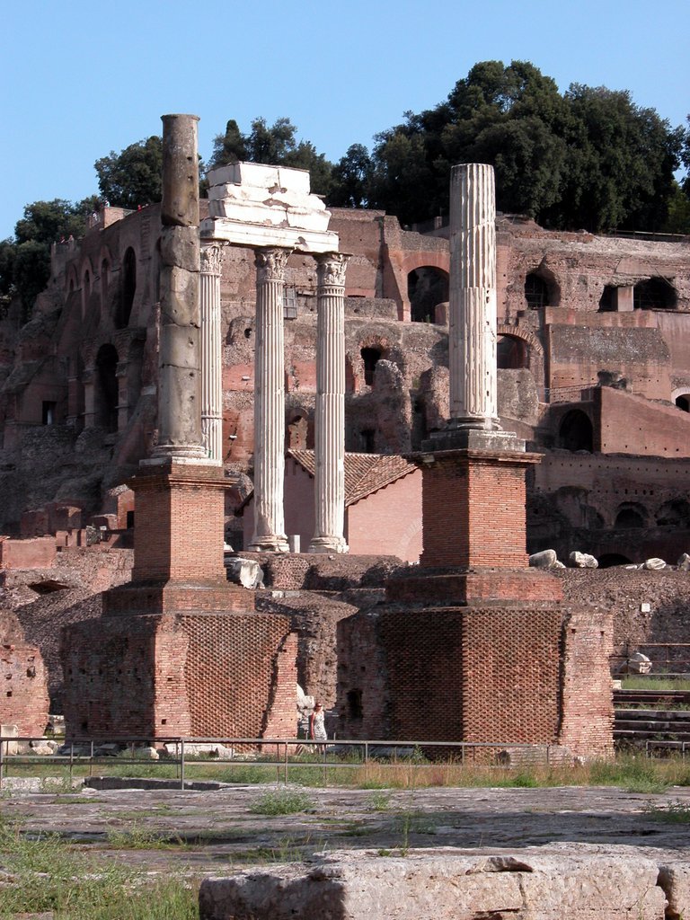 The Forum