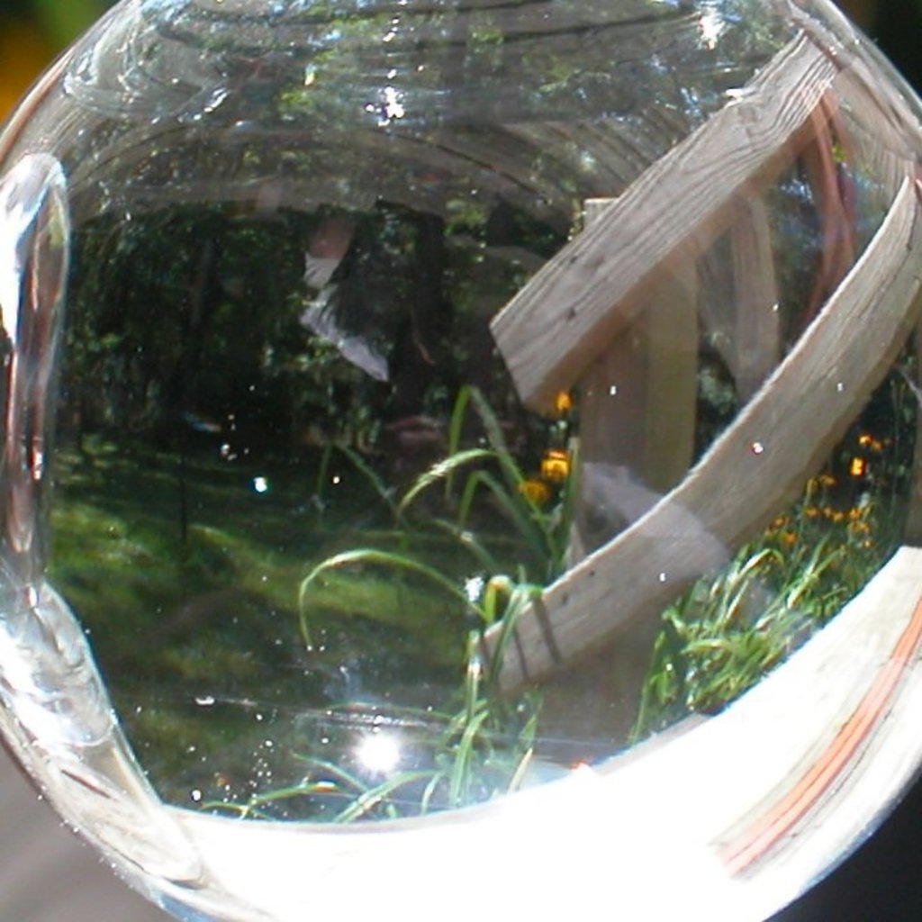 World through a globe