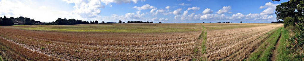 Harvest Panorama