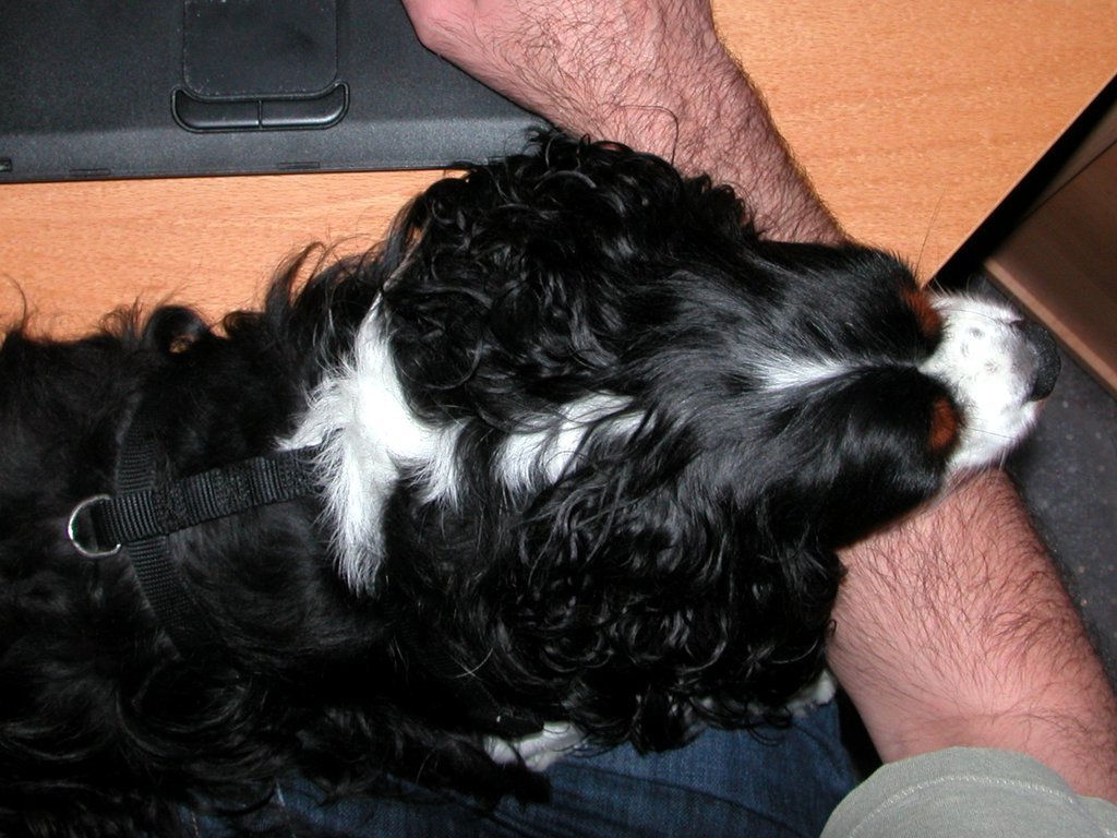 Occupational hazard