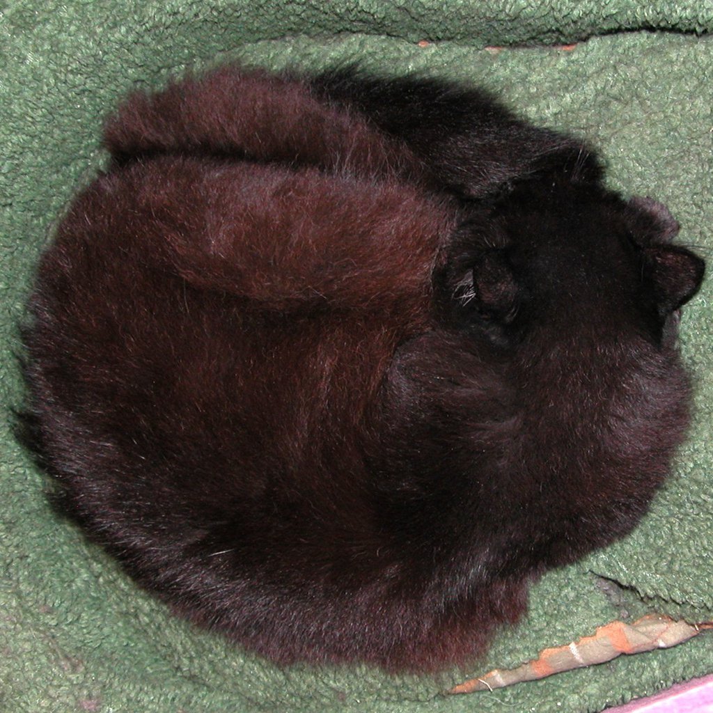 Zzzzzz