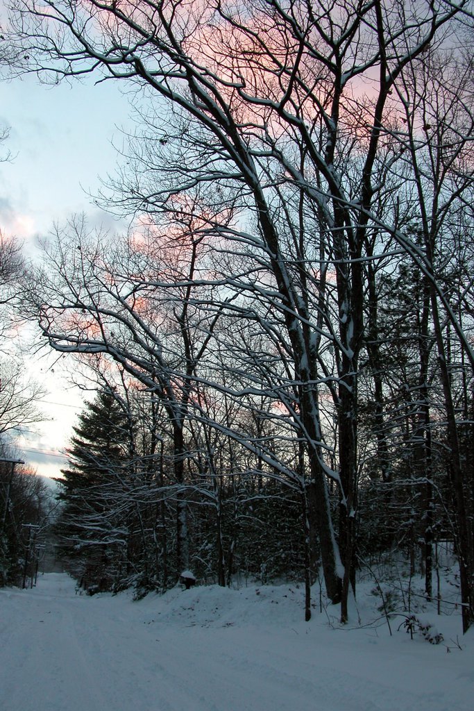 Winter evening