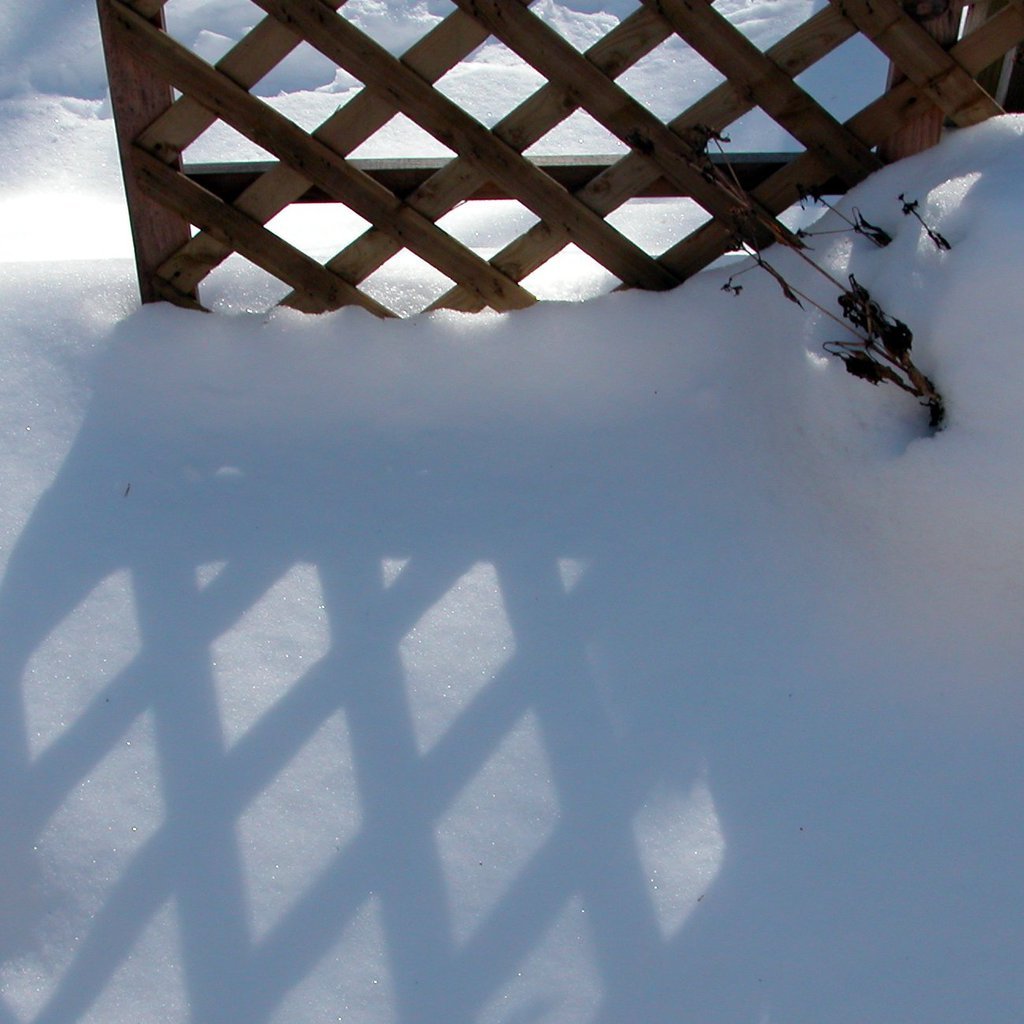 Abstract snow II