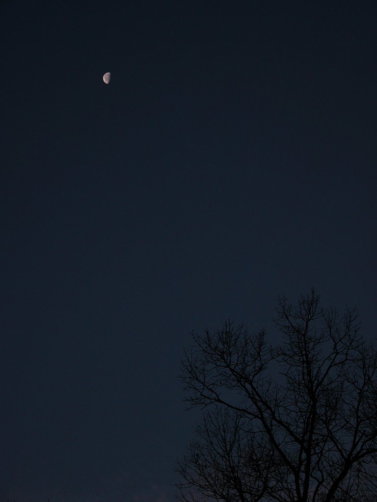 Winter moon