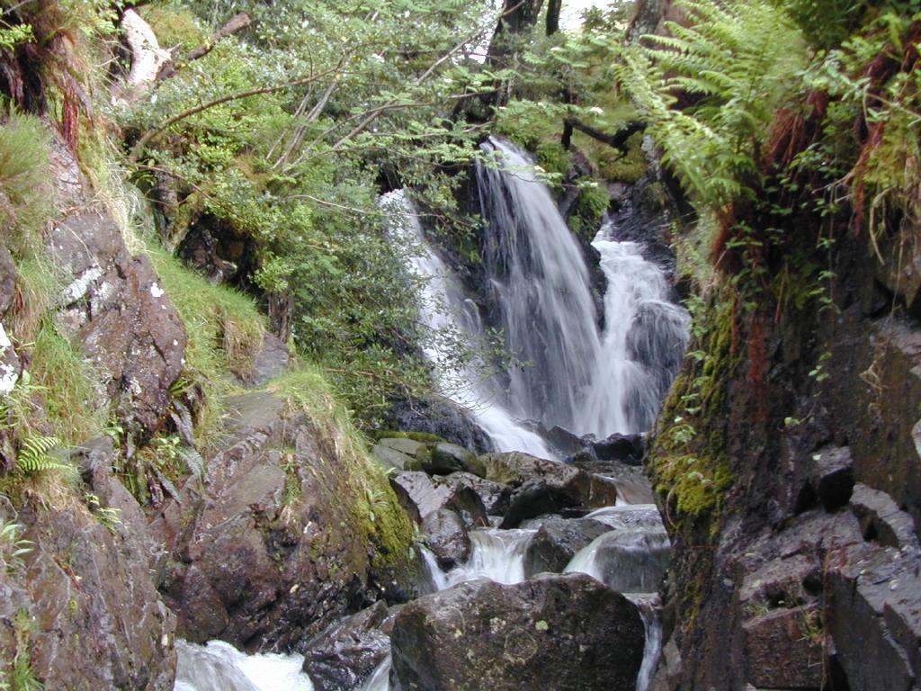 Falls