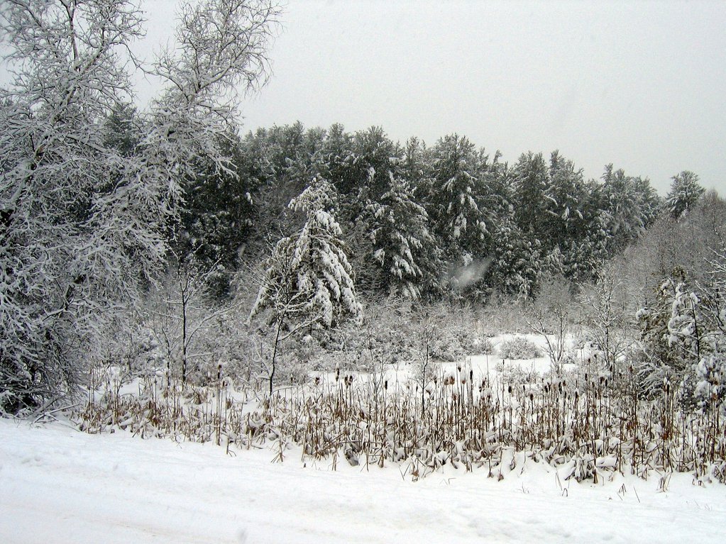 Snowfall