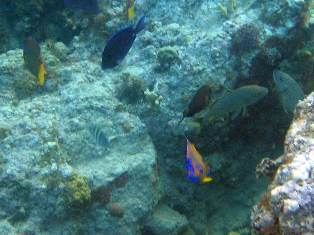20060202-214926