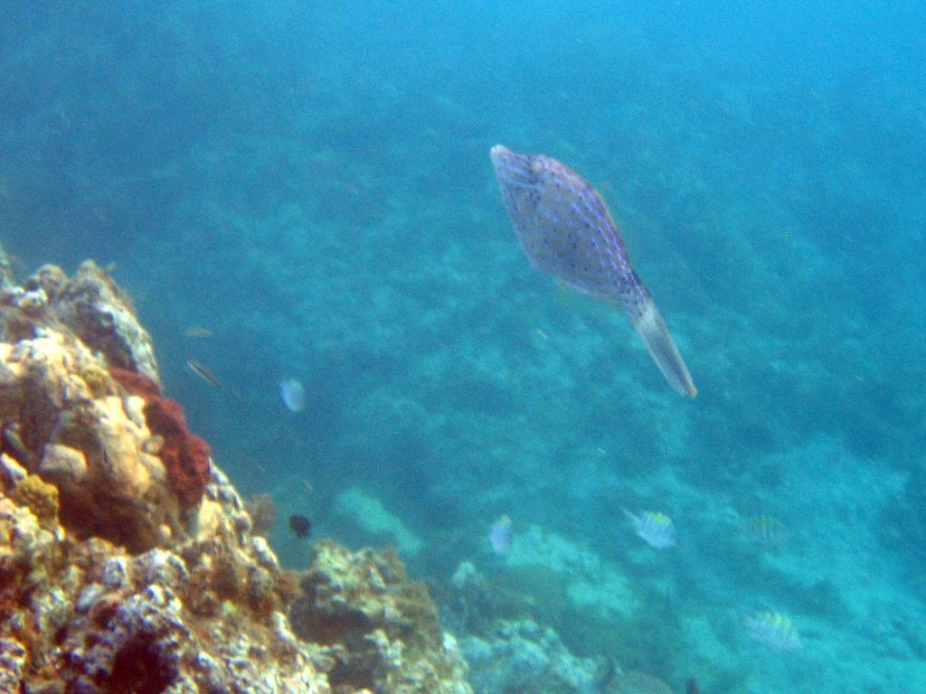 20060202-214958 20060202-214958