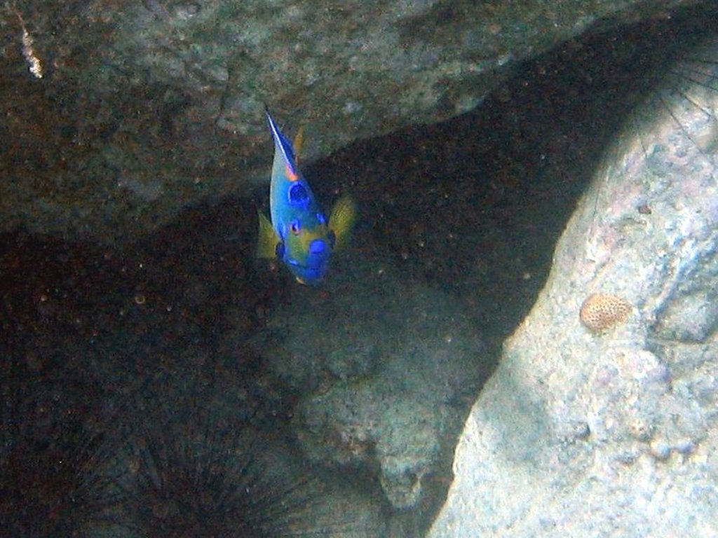 20060203-142428 20060203-142428
