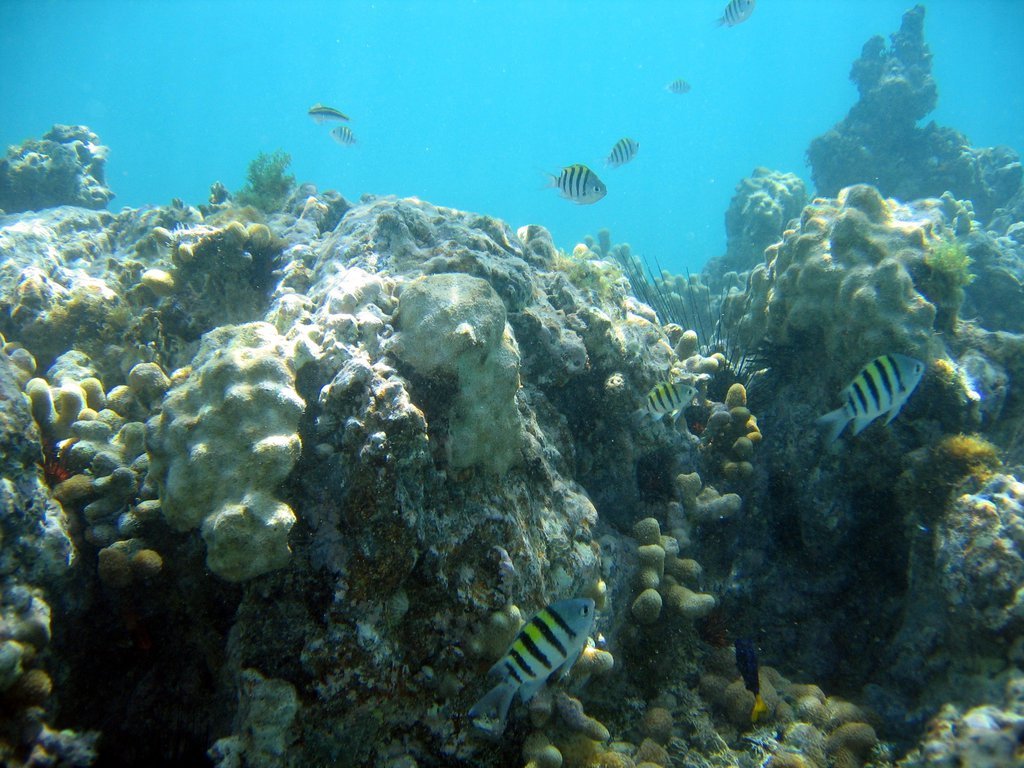 20060204-135744 20060204-135744