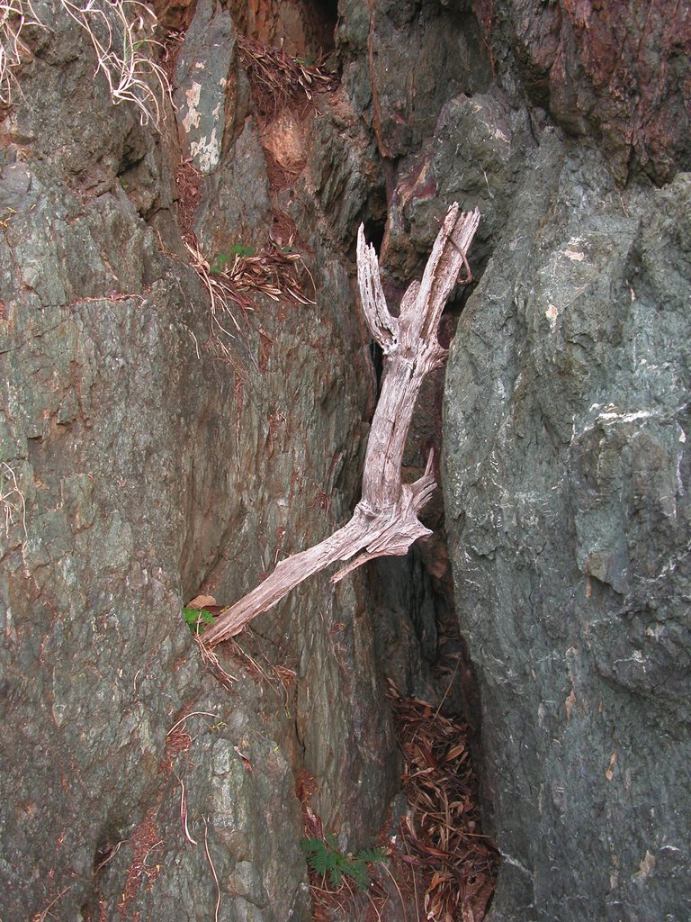 20060204-211016