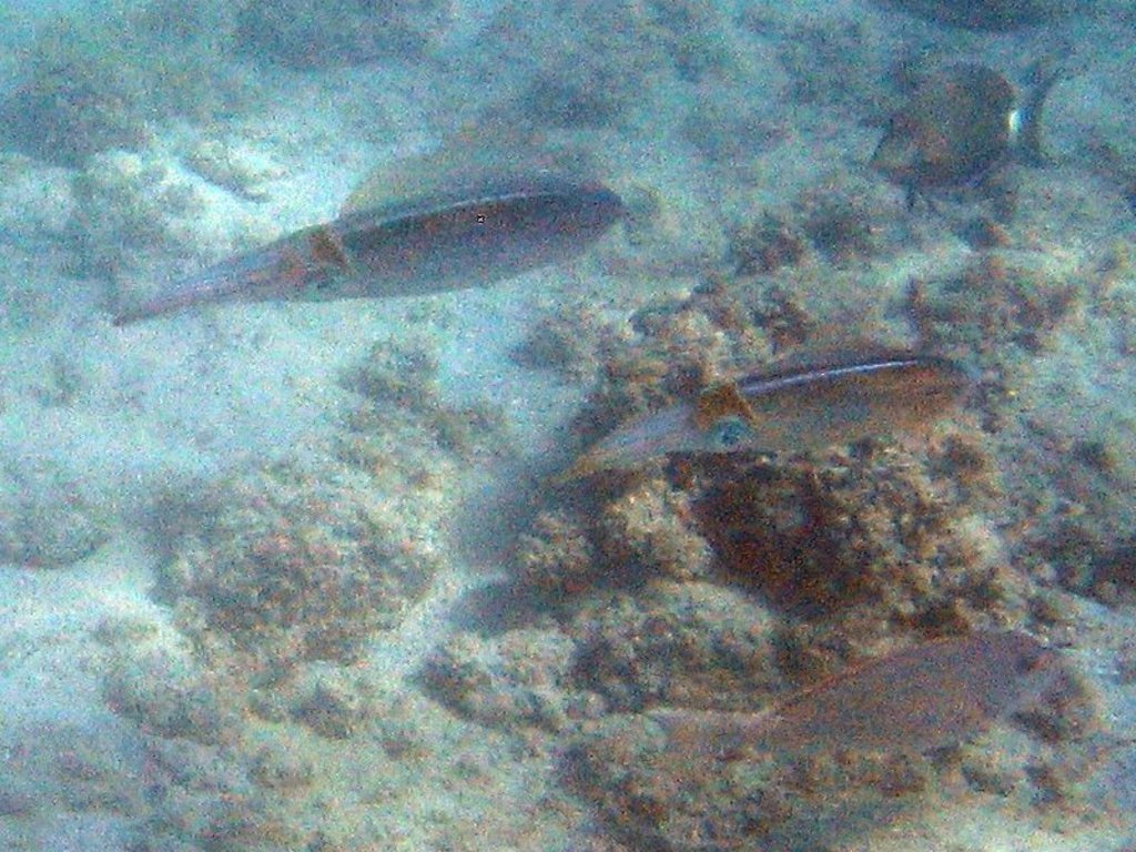 20060206-143544 20060206-143544