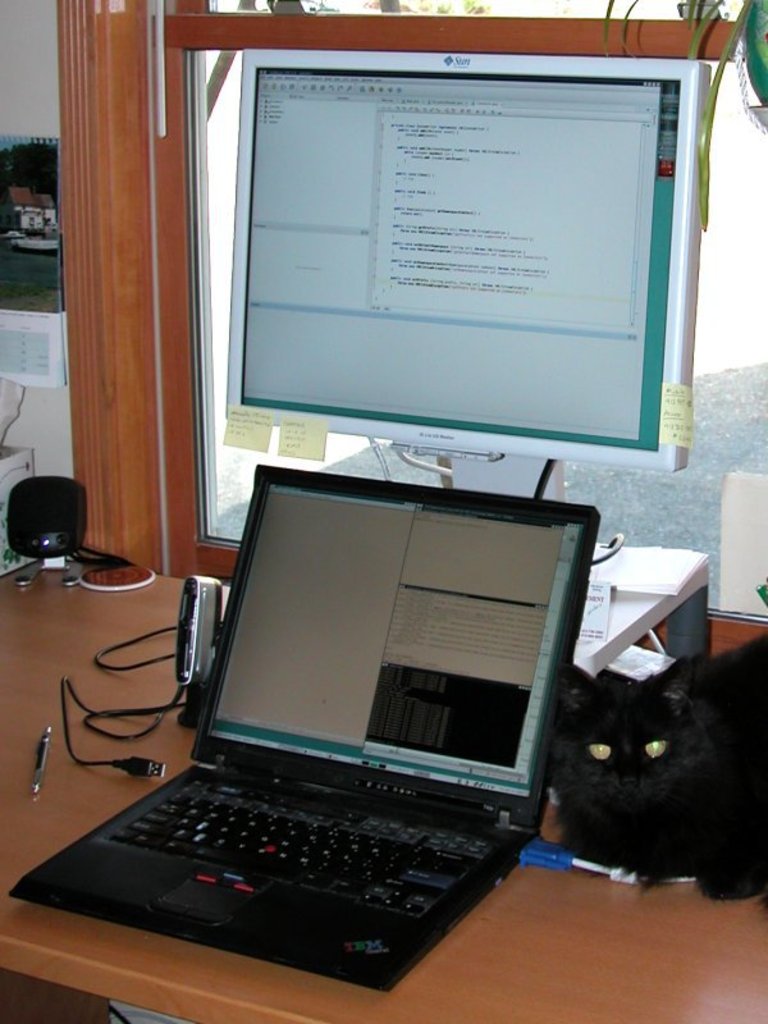 Thinkpad DS