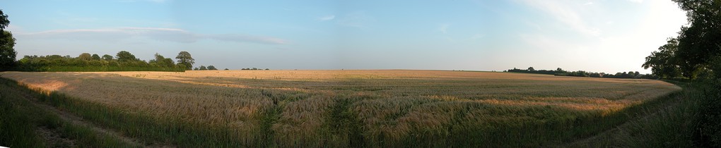 Erpingham field