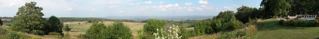 Field panorama