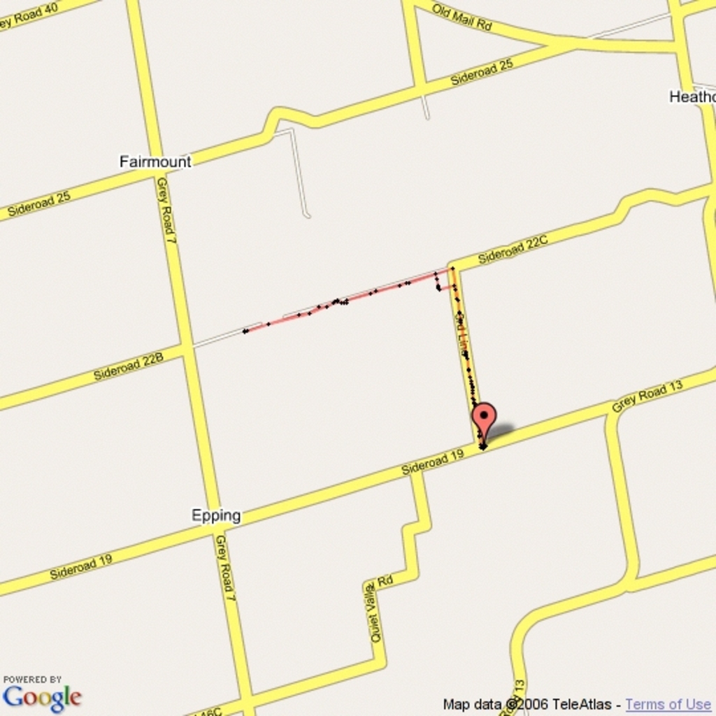 Alligator Crossing Cache