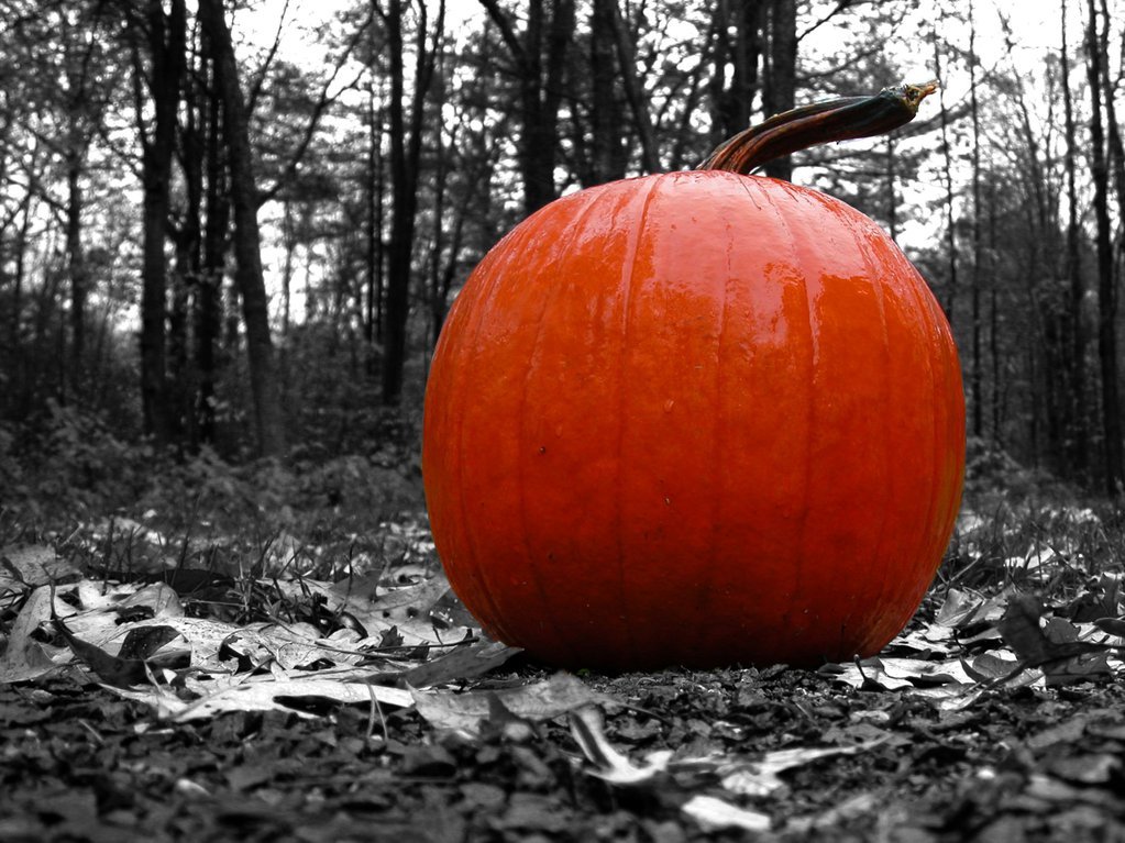 Pumpkin