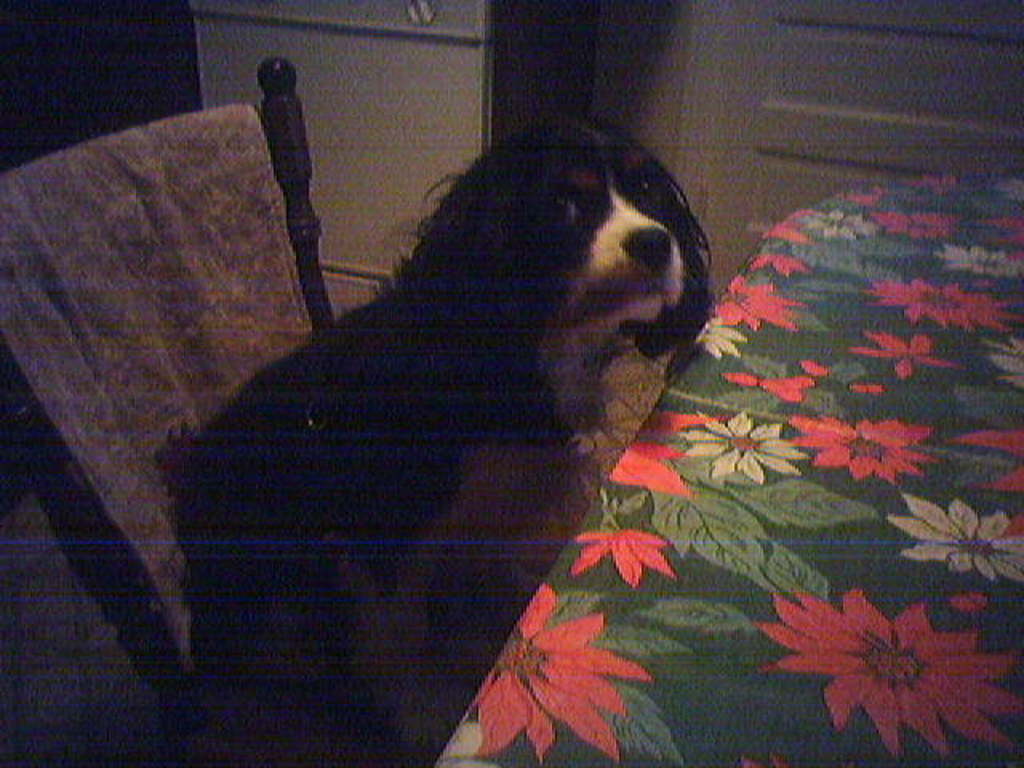 Where's my breakfast?