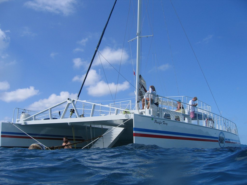 Catamaran